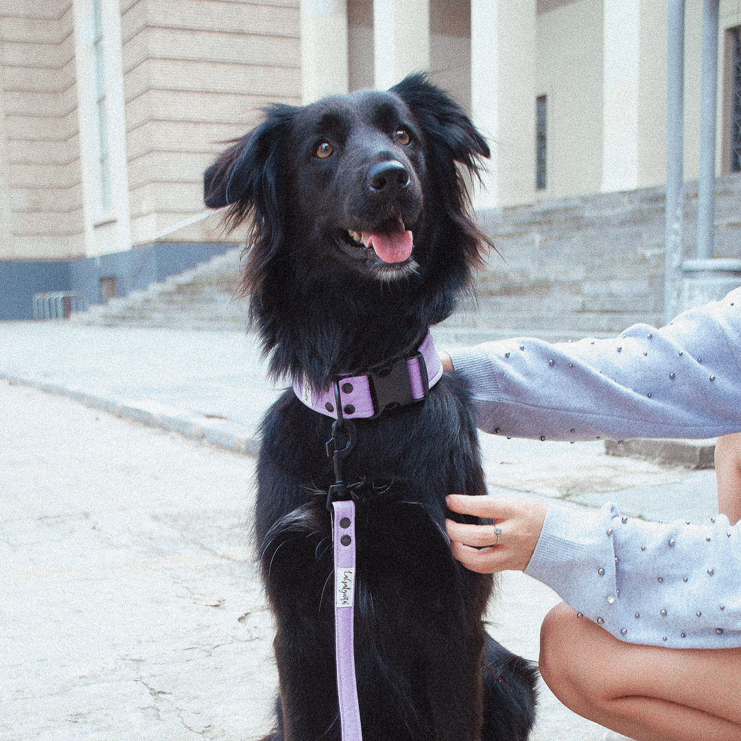 Yummy Morado - Imagen 2