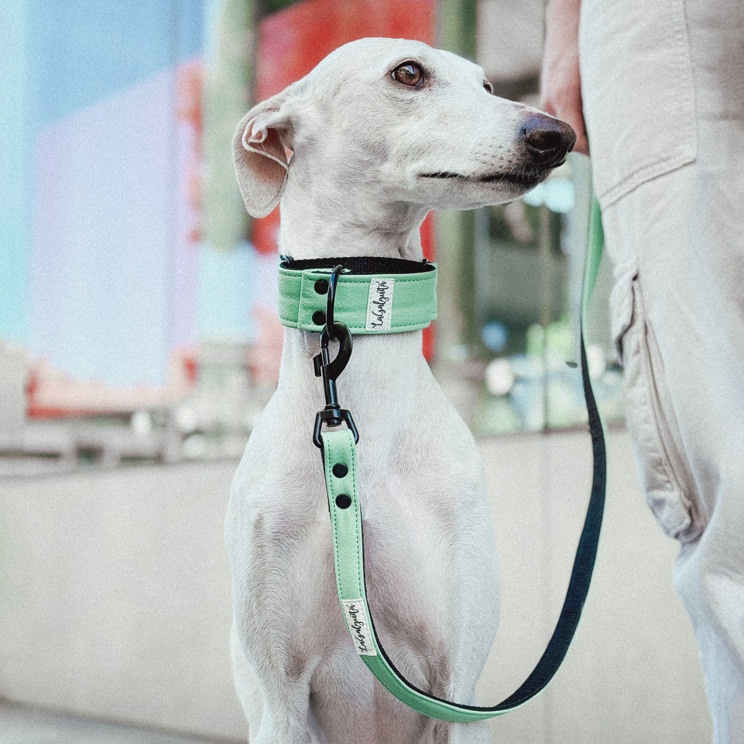 Yummy Menta - Imagen 3