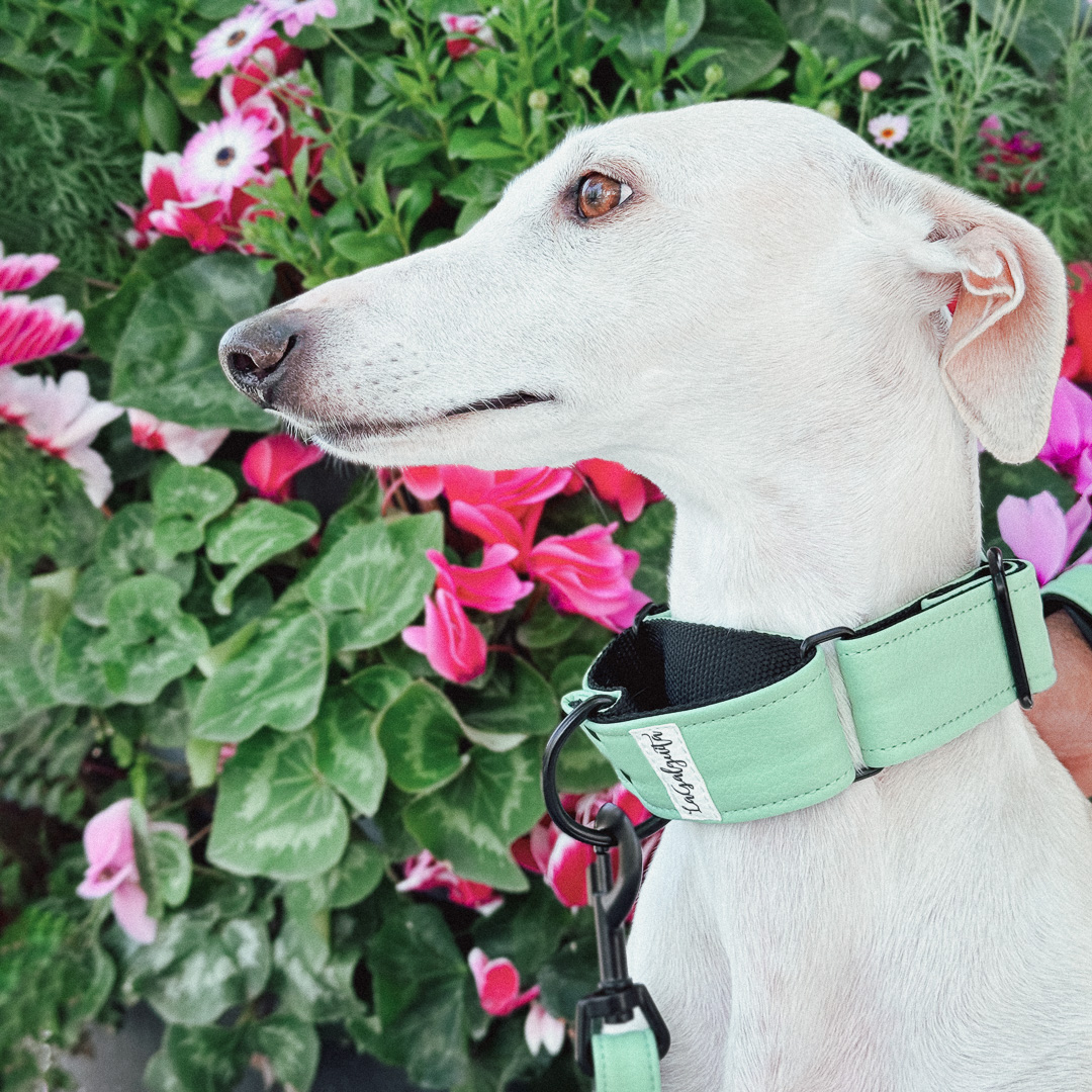 Yummy Menta - Imagen 4