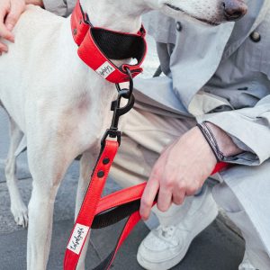Correas para perros