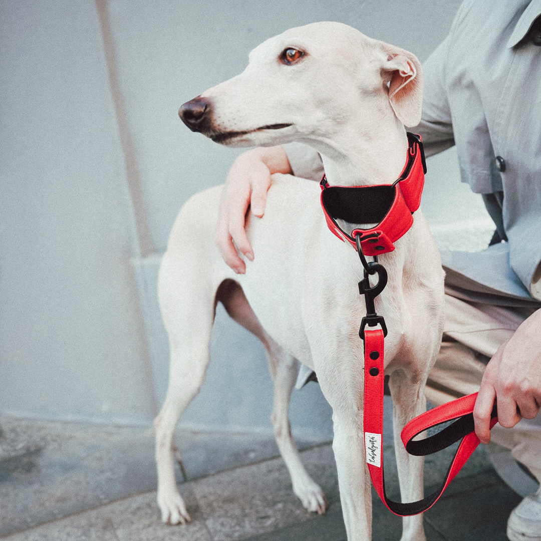 Yummy Fresa - Imagen 4