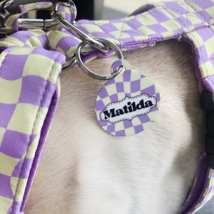 Chapas identificativas para perros