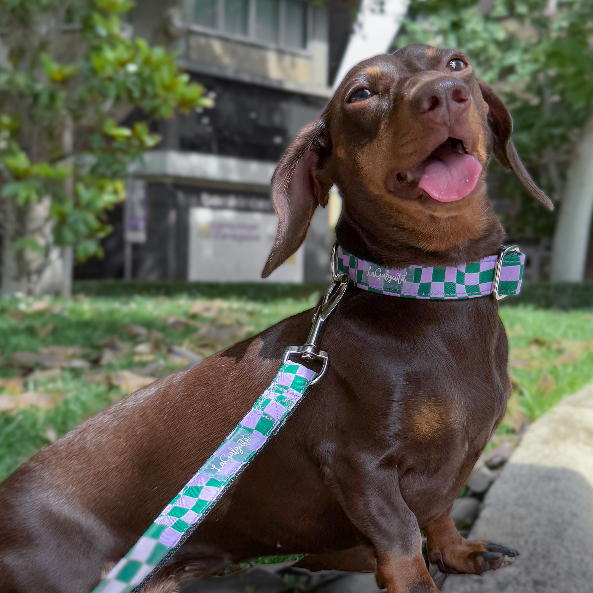 Gambito verde - Imagen 3