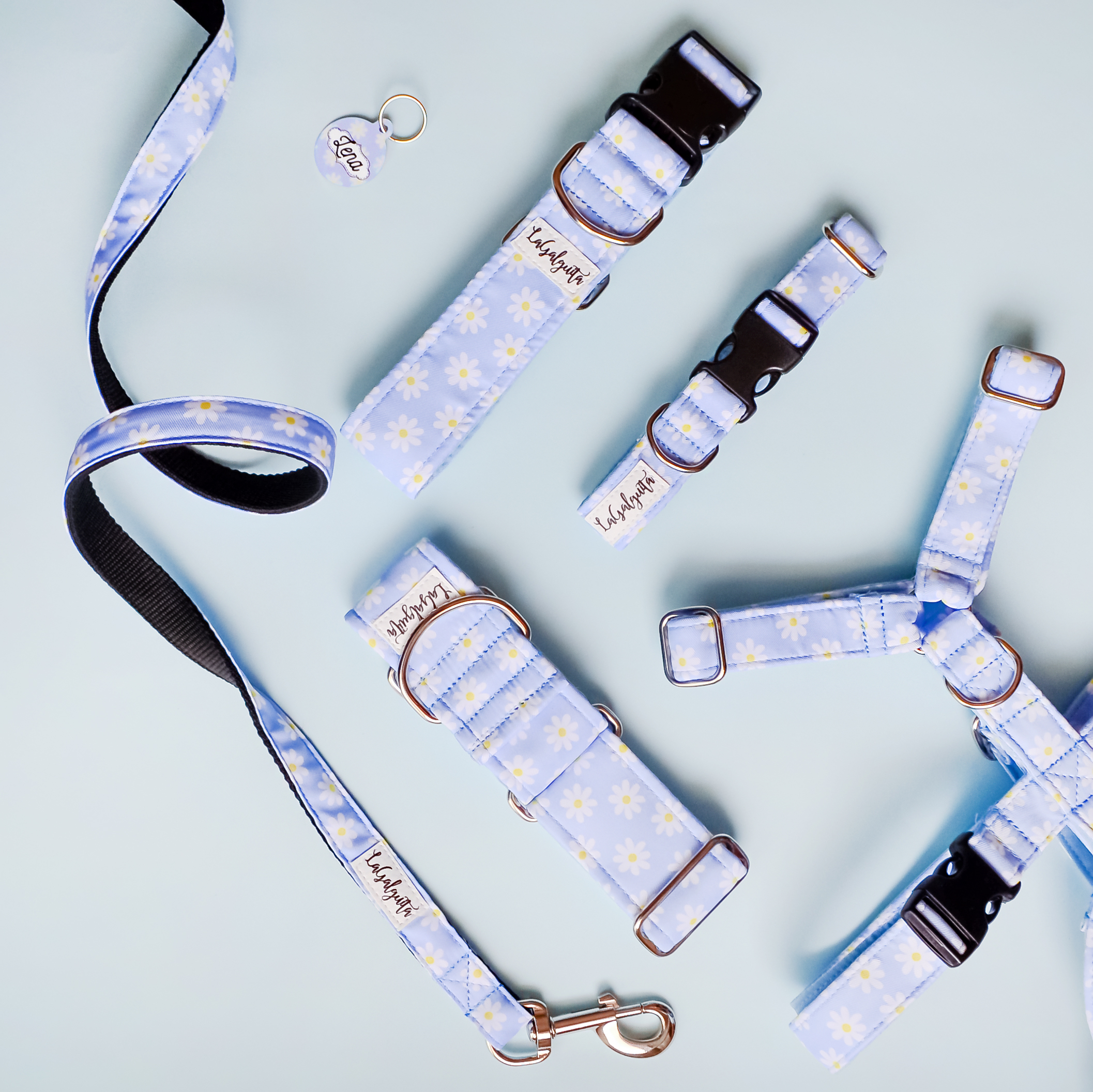 Chapa Margarita - Imagen 4