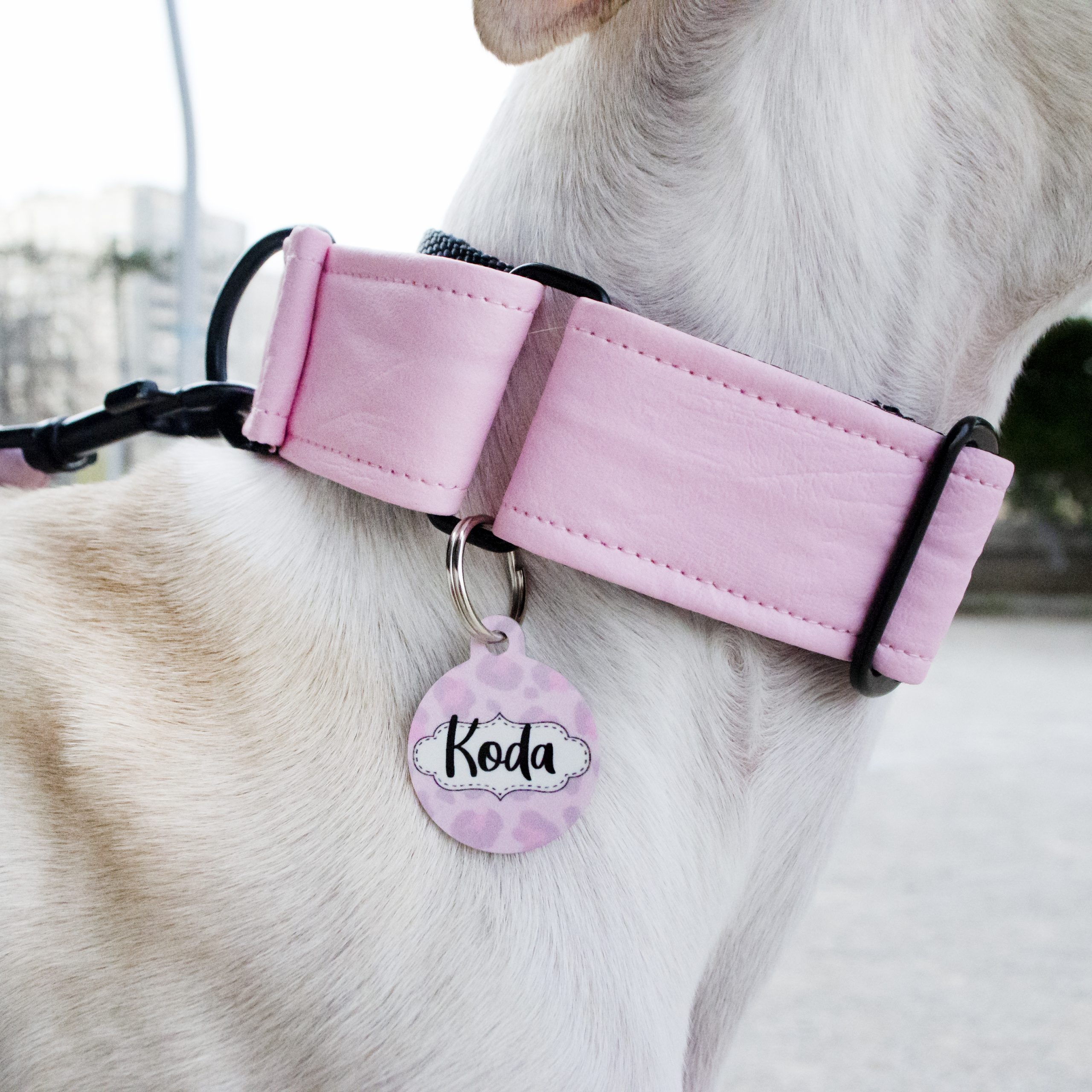 Chapa Leopardo Rosa - Imagen 4